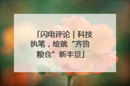 闪电评论｜科技执笔，绘就“齐鲁粮仓”新丰景
