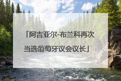 阿吉亚尔-布兰科再次当选葡萄牙议会议长