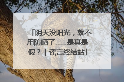阴天没阳光，就不用防晒了……是真是假？｜谣言终结站
