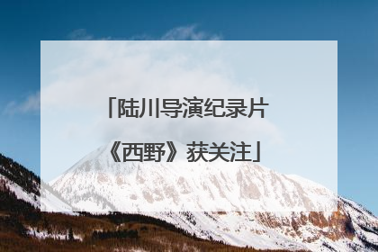陆川导演纪录片《西野》获关注