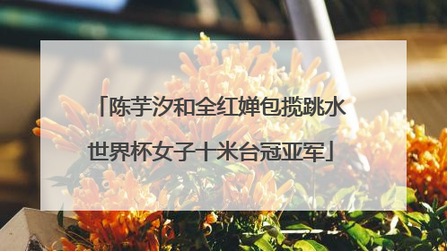 陈芋汐和全红婵包揽跳水世界杯女子十米台冠亚军