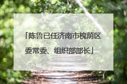 陈鲁已任济南市槐荫区委常委、组织部部长