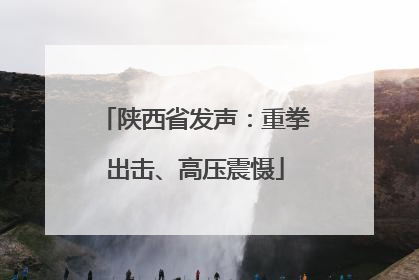 陕西省发声：重拳出击、高压震慑