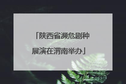 陕西省濒危剧种展演在渭南举办