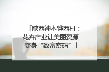 陕西神木铧西村：花卉产业让美丽资源变身“致富密码”
