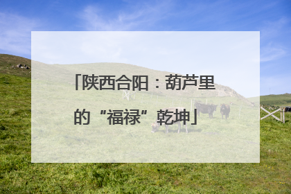 陕西合阳：葫芦里的“福禄”乾坤