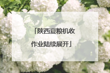 陕西夏粮机收作业陆续展开