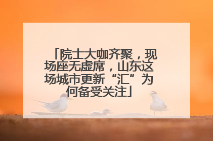 院士大咖齐聚，现场座无虚席，山东这场城市更新“汇”为何备受关注