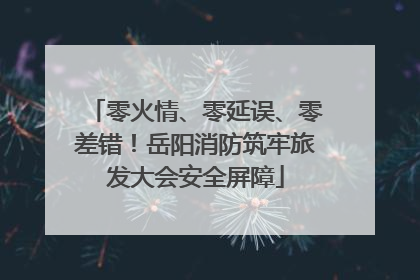零火情、零延误、零差错！岳阳消防筑牢旅发大会安全屏障