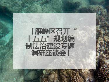 雁峰区召开“十五五”规划编制法治建设专题调研座谈会