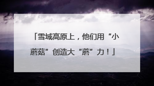 雪域高原上，他们用“小蘑菇”创造大“蘑”力！