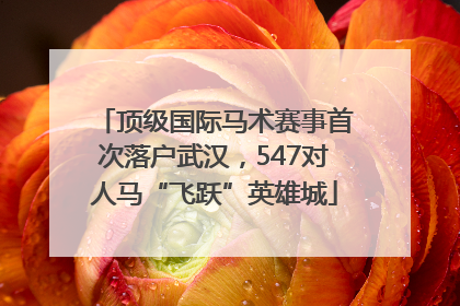 顶级国际马术赛事首次落户武汉，547对人马“飞跃”英雄城