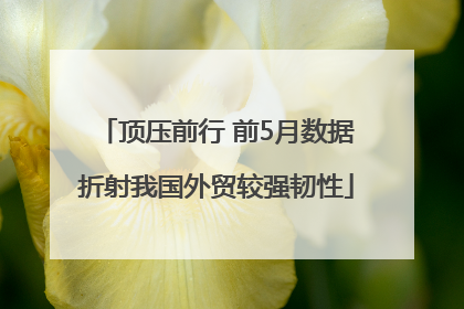 顶压前行 前5月数据折射我国外贸较强韧性