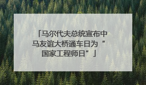 马尔代夫总统宣布中马友谊大桥通车日为“国家工程师日”