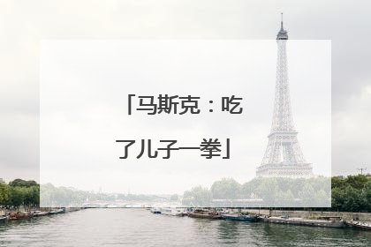 马斯克：吃了儿子一拳