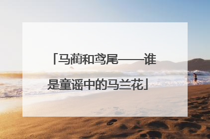 马蔺和鸢尾——谁是童谣中的马兰花