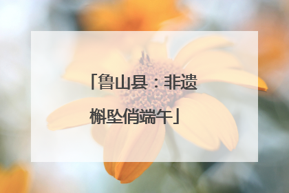 鲁山县：非遗槲坠俏端午