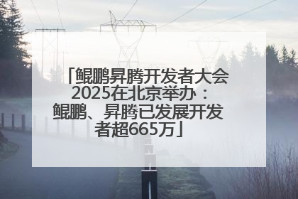 鲲鹏昇腾开发者大会2025在北京举办：鲲鹏、昇腾已发展开发者超665万