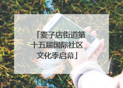 麦子店街道第十五届国际社区文化季启幕
