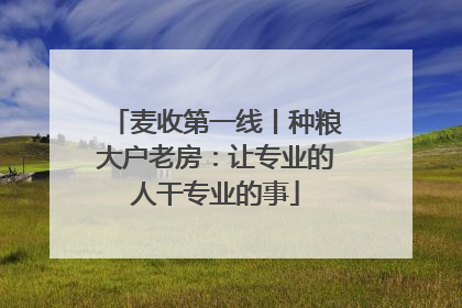 麦收第一线丨种粮大户老房：让专业的人干专业的事