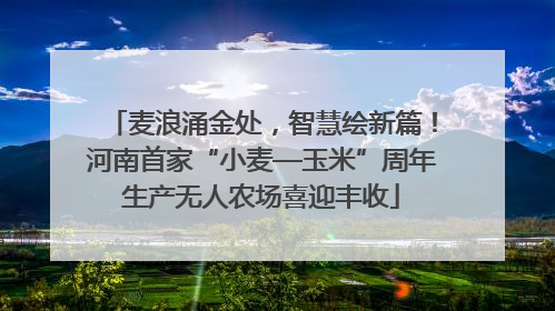 麦浪涌金处，智慧绘新篇！河南首家“小麦—玉米”周年生产无人农场喜迎丰收