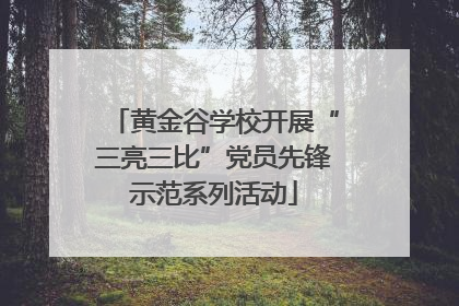 黄金谷学校开展“三亮三比”党员先锋示范系列活动