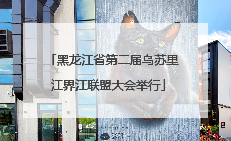 黑龙江省第二届乌苏里江界江联盟大会举行