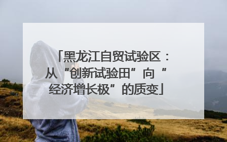 黑龙江自贸试验区：从“创新试验田”向“经济增长极”的质变