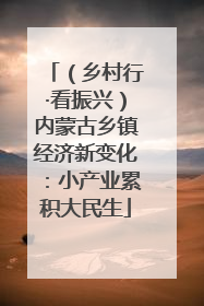 （乡村行·看振兴）内蒙古乡镇经济新变化：小产业累积大民生