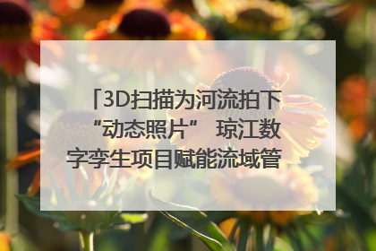 3D扫描为河流拍下“动态照片” 琼江数字孪生项目赋能流域管理｜新闻发布最前线
