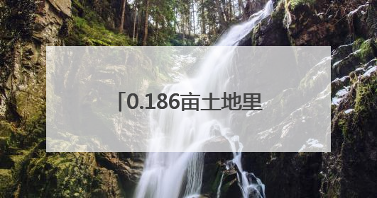 0.186亩土地里寻真相｜“天平杯·随手拍”作品展播