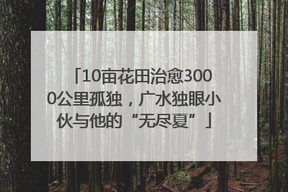 10亩花田治愈3000公里孤独，广水独眼小伙与他的“无尽夏”