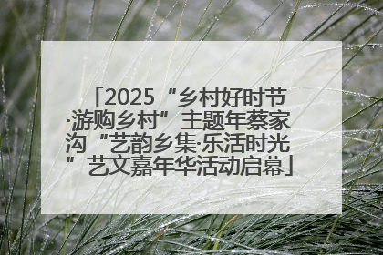 2025“乡村好时节·游购乡村”主题年蔡家沟“艺韵乡集·乐活时光”艺文嘉年华活动启幕