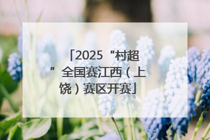 2025“村超”全国赛江西（上饶）赛区开赛