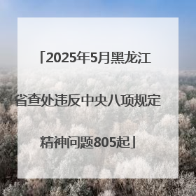 2025年5月黑龙江省查处违反中央八项规定精神问题805起
