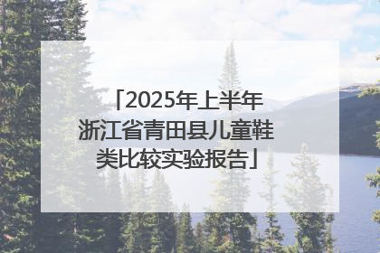2025年上半年浙江省青田县儿童鞋类比较实验报告