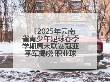 2025年云南省青少年足球春季学期周末联赛冠亚季军揭晓 职业球星与足球小将共享荣耀时刻