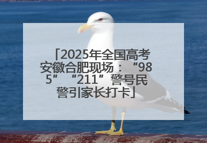 2025年全国高考安徽合肥现场：“985”“211”警号民警引家长打卡