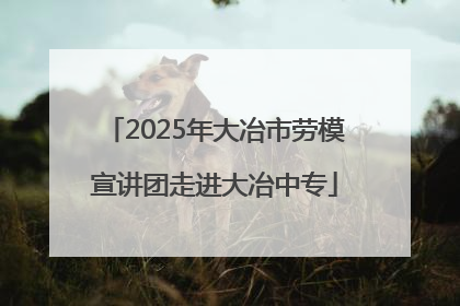 2025年大冶市劳模宣讲团走进大冶中专