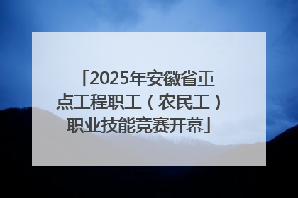 2025年安徽省重点工程职工（农民工）职业技能竞赛开幕