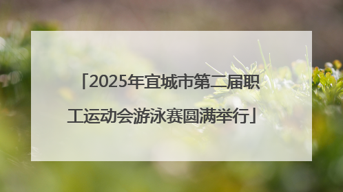2025年宜城市第二届职工运动会游泳赛圆满举行
