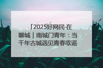 2025好网民·在聊城｜南城门青年：当千年古城遇见青春歌谣 一湖碧水见证的“聊城式浪漫”