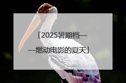 2025暑期档——燃动电影的夏天