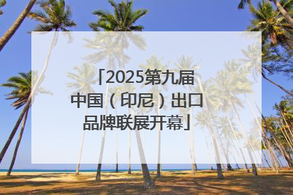 2025第九届中国（印尼）出口品牌联展开幕