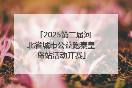 2025第二届河北省城市公益跑秦皇岛站活动开赛