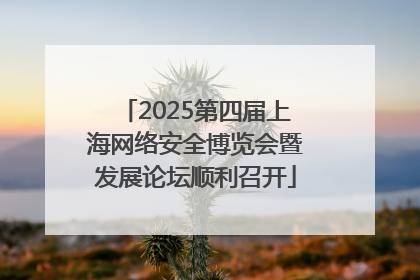 2025第四届上海网络安全博览会暨发展论坛顺利召开
