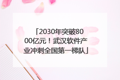 2030年突破8000亿元！武汉软件产业冲刺全国第一梯队