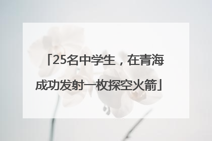 25名中学生，在青海成功发射一枚探空火箭