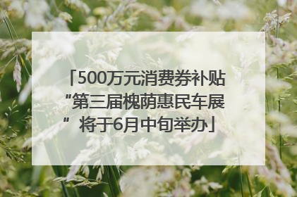500万元消费券补贴 “第三届槐荫惠民车展”将于6月中旬举办