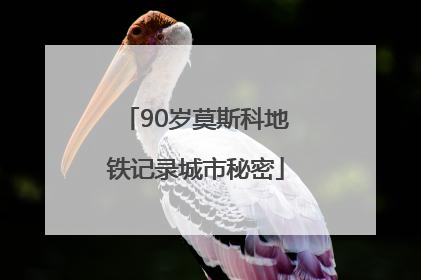 90岁莫斯科地铁记录城市秘密